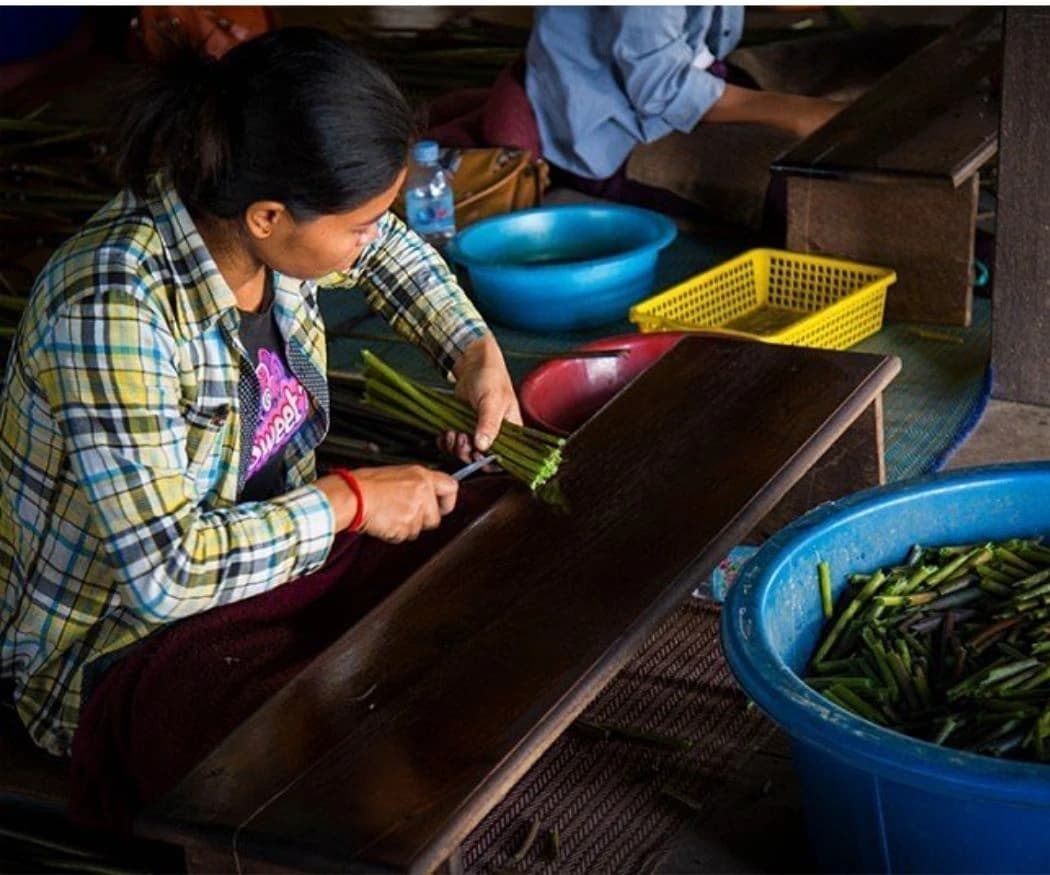 Lotus Silk Farm