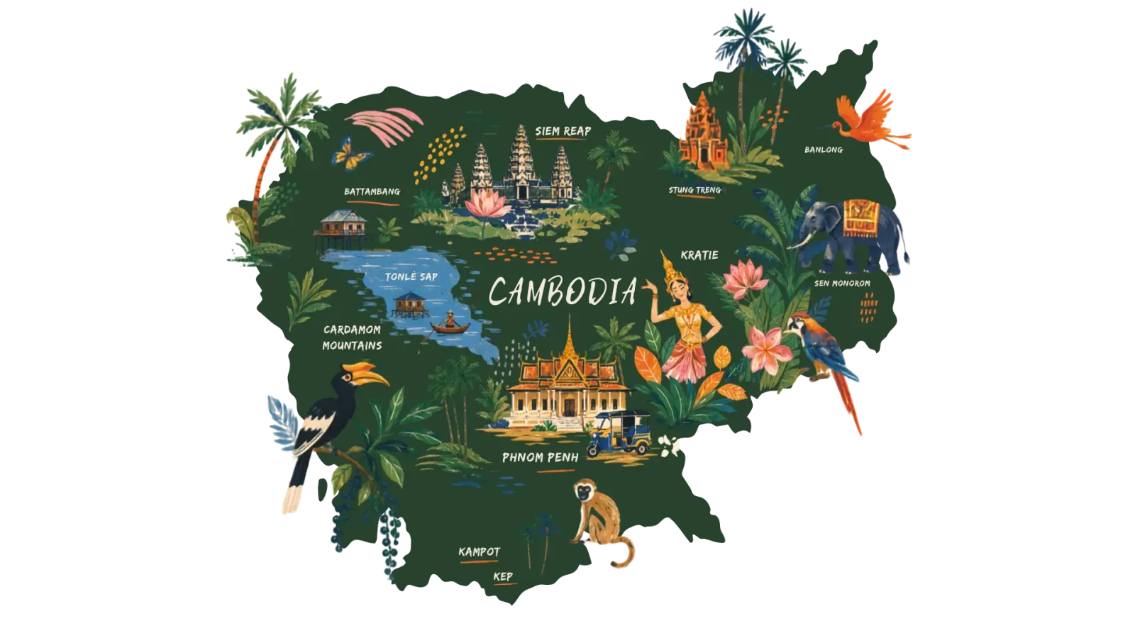 Illustrated map of Cambodia: Siem Reap, Phnom Penh, Tonlé Sap, Sihanoukville, Kampot, Kep, Koh Rong, Mondulkiri